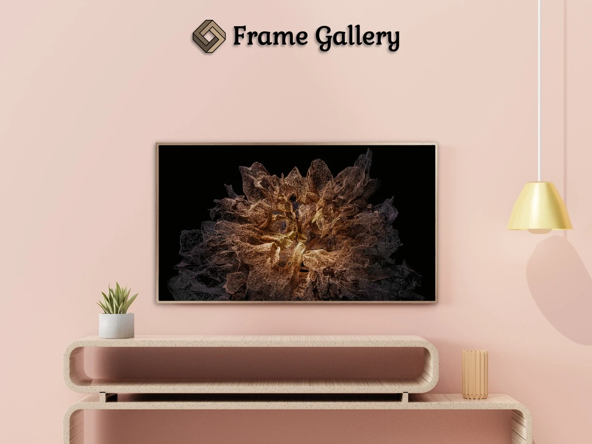 Close up of a flower - Beautiful free art for 4K TV and Frame TV