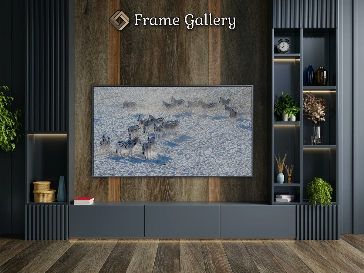 Zebra herd on white sand - Free art for Samsung Frame TV and Hisense CanvasTV