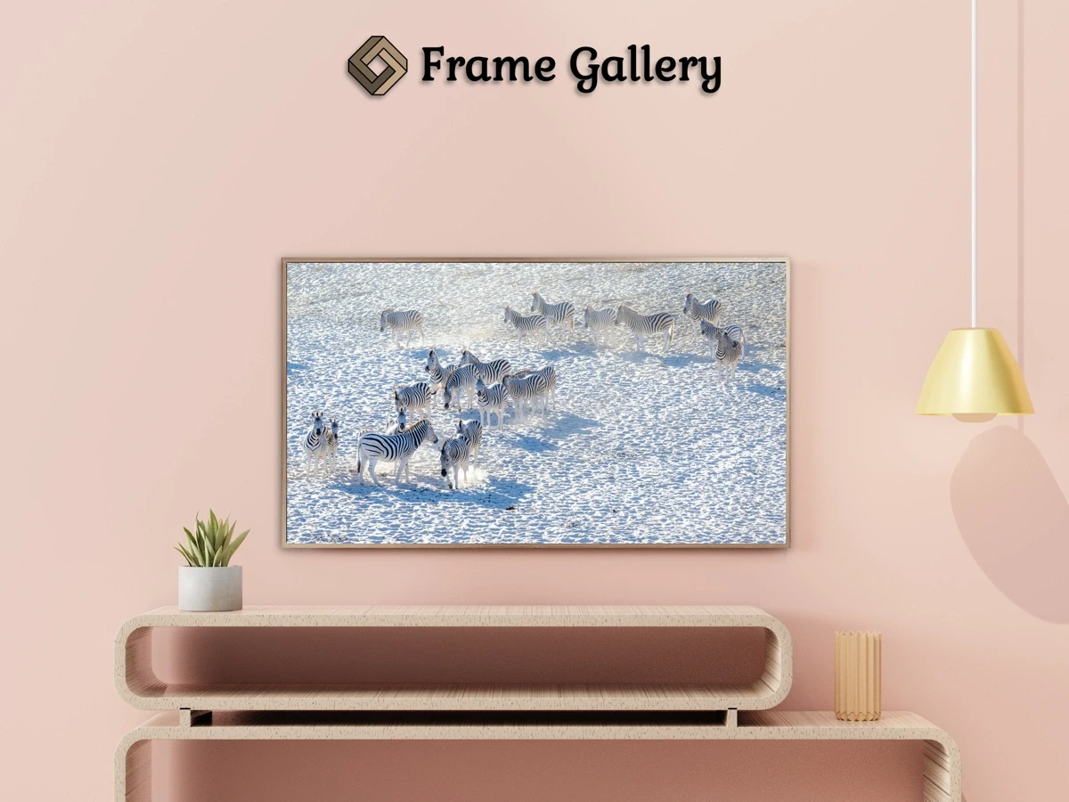 Zebra herd on white sand - Beautiful free art for 4K TV and Frame TV