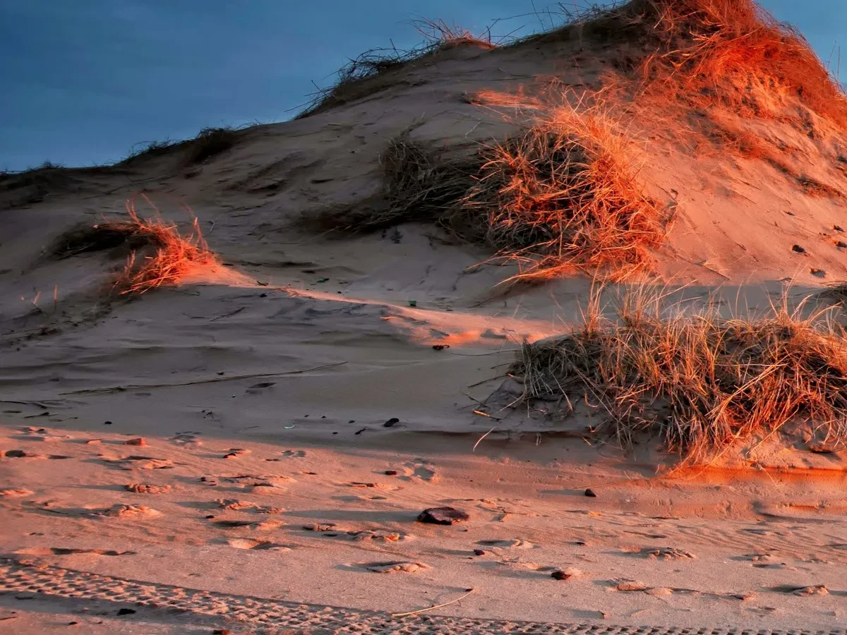 Sand Dunes at Rattray Head Lighthouse - Ideal for Canvas TV - Enhance your decor with free art