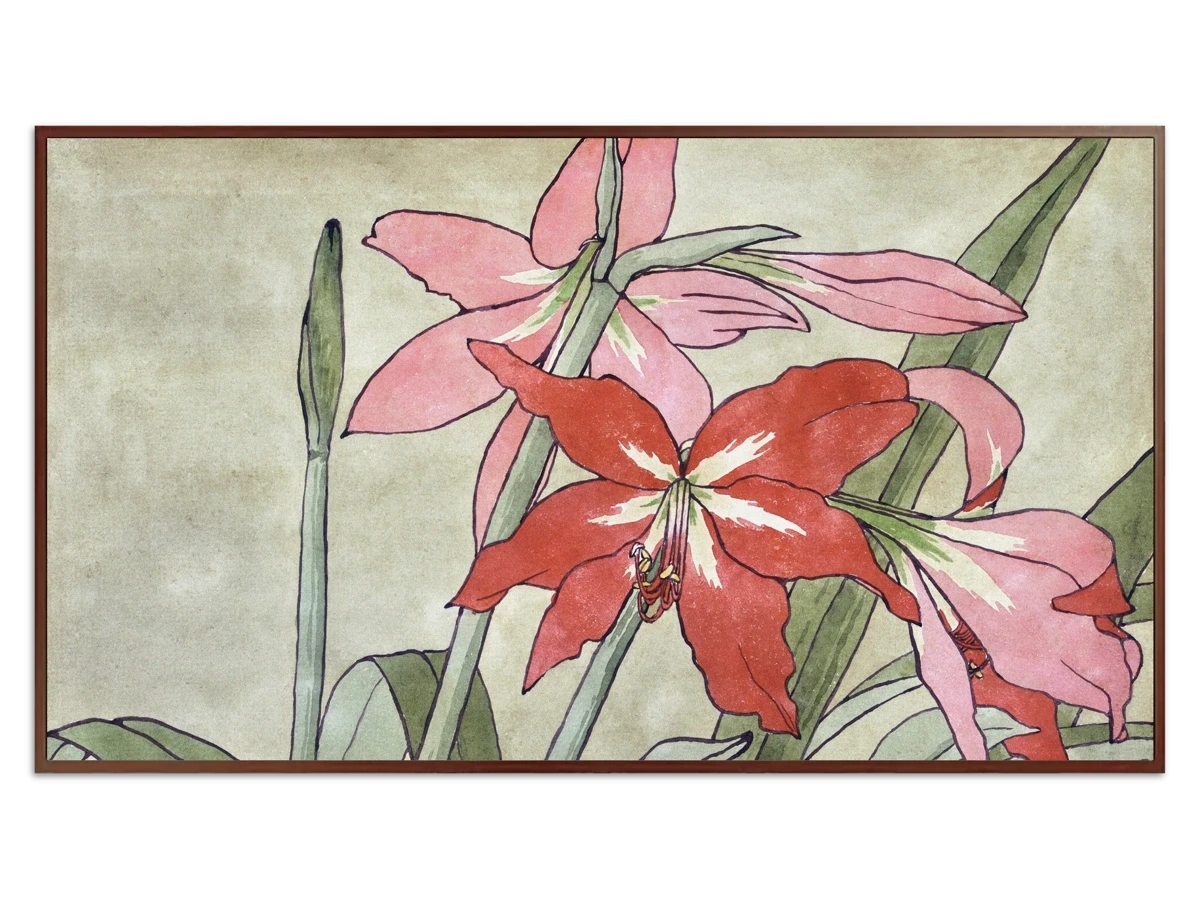 Amaryllis for Samsung Frame TV - Best Frame TV Art