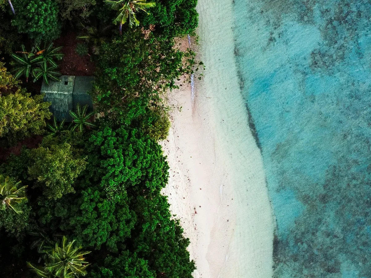 Aerial view of a sandy beach and ocean - Ideal for Canvas TV - Enhance your decor with free art