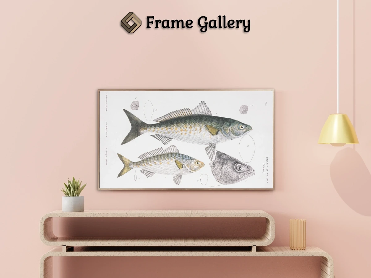 Western Australia Salmon - Enhance your Frame TV and Canvas TV