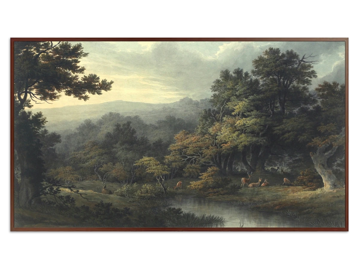 Forest Glade with Pool and Deer for Samsung Frame TV - Best Frame TV Art