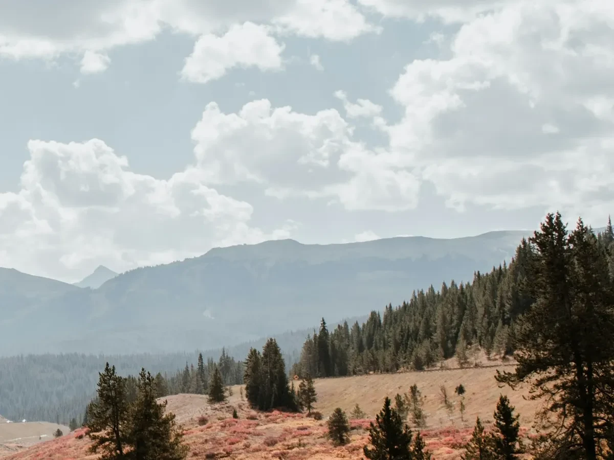 Autumn Ride through Vail Pass - Ideal for Canvas TV - Enhance your decor with free art