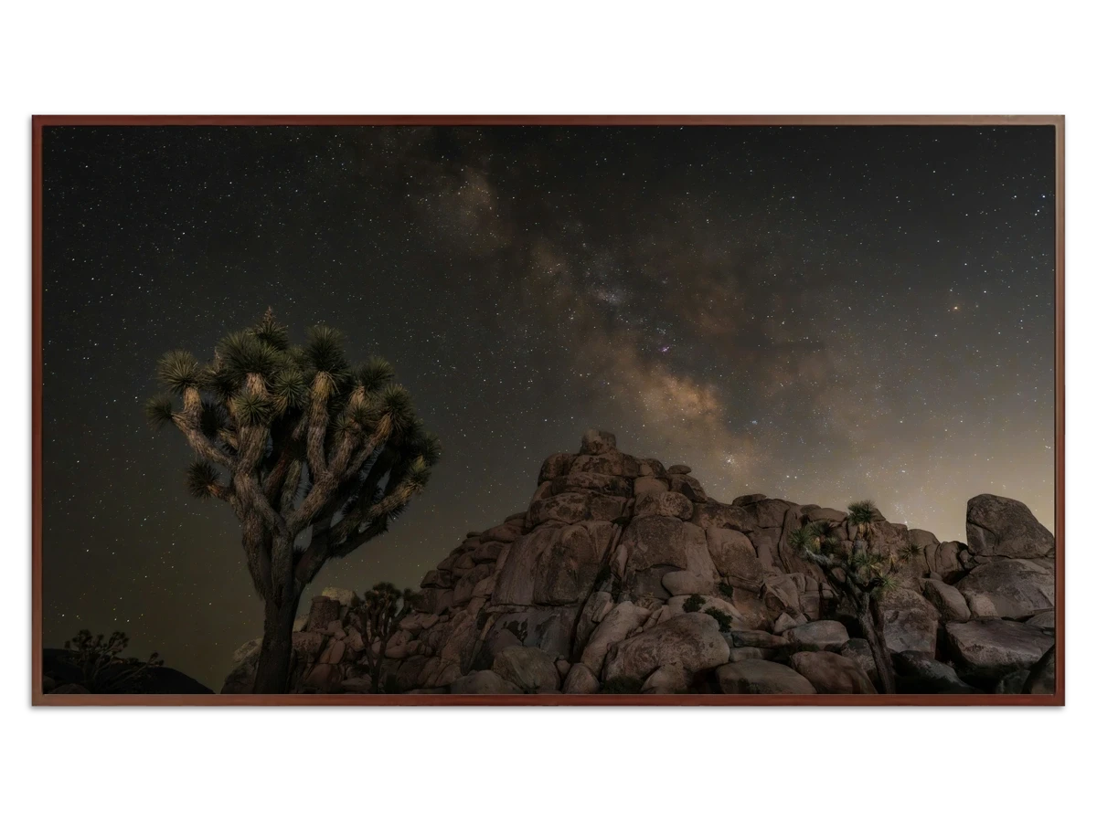 Joshua Tree Night Sky with Stars - Free art for Frame TV