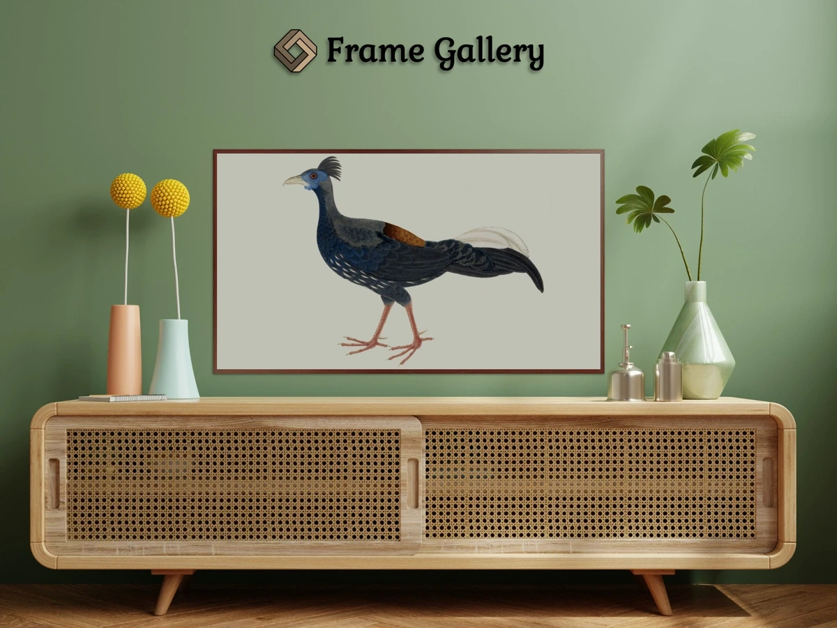 Male Crested Fireback Pheasant for 4K TV - High-resolution artwork available