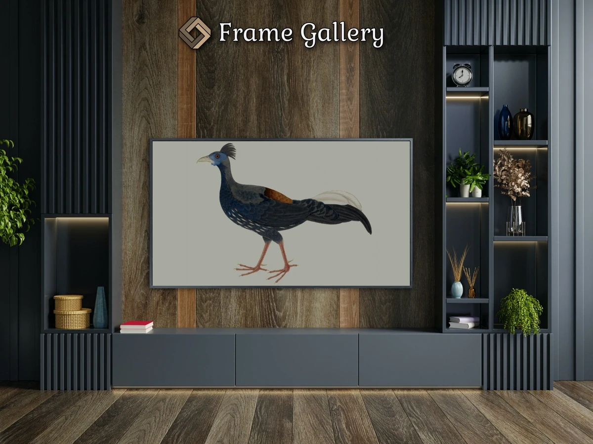 Male Crested Fireback Pheasant - Downloadable 4K TV Art