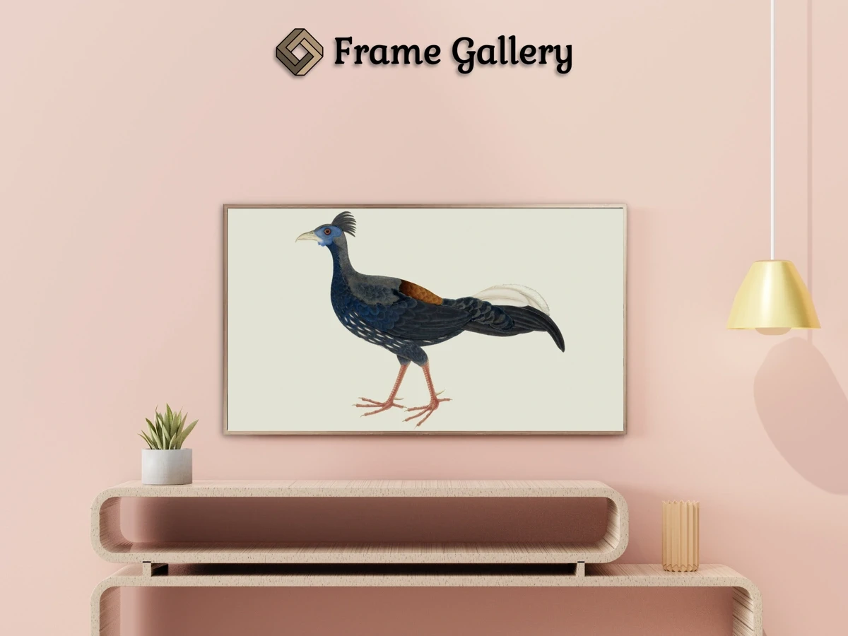 Male Crested Fireback Pheasant - Enhance your Frame TV and Canvas TV